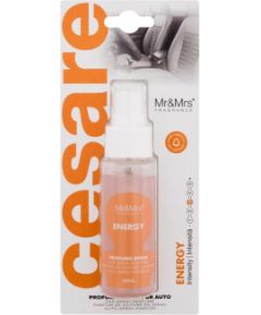 Mr&mrs Fragrance Cesare / Car Spray Perfume 50ml Energy