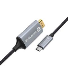 Evelatus Universal  Data Cable HDMI to Type C TPC04 Black