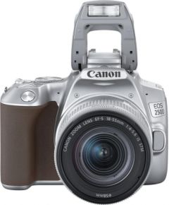 Canon EOS 250D + 18-55мм IS STM Kit, серебристый