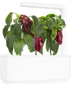 Click & Grow Smart Garden uzpilde Sarkanā paprika 3gb.