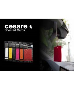 Mr&Mrs Cesare Scented card JCESTES003 Scent for Car, Cedar Wood: Woody, EVA, Black