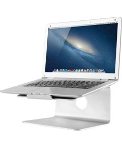 NEWSTAR Laptop Desk Stand