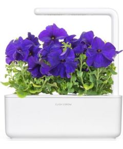 Click & Grow Smart Garden refill Blue Petunia 3pcs