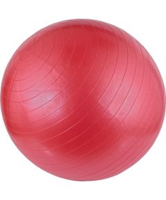 Schreuderssport Gym Ball AVENTO 42OB 65cm Pink