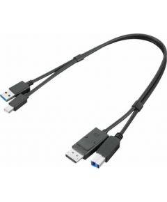 Lenovo ThinkStation mDP + USB-A 3.0 to DP + USB-B 3.0 Dual Head Cable 0.43 m