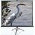 Elite Screens Tripod Series T120NWV1 Diagonal 120 ", 4:3, Viewable screen width (W) 244 cm, White