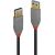 CABLE USB3.2 TYPE A 2M/ANTHRA 36752 LINDY