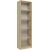 Top E Shop Topeshop R50 SONOMA office bookcase