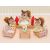 SYLVANIAN FAMILIES 3 Mēbeļu komplekts