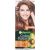 Garnier Color Naturals 40ml