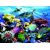 Ravensburger Puzzle 200 pc Ocean Turtles