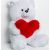 Go Gift FRANK teddy bear 50 cm white