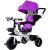 Leantoys Tricycle PRO300 Violet