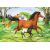 Ravensburger Puzzle 2x24 pc World of Horses