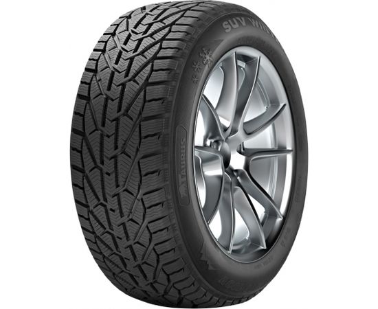 Taurus/Kormoran Winter 225/50R17 98V