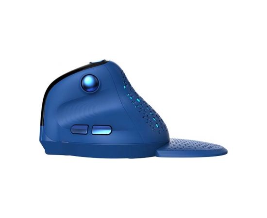 Wireless Ergonomic Mouse Delux M618XSD BT+2.4G RGB (blue)