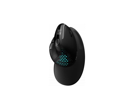 Wireless Ergonomic Mouse Delux M618XSD BT+2.4G RGB