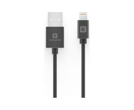 Evelatus  
 
       Lightning cable 2M MFI07 
     Black