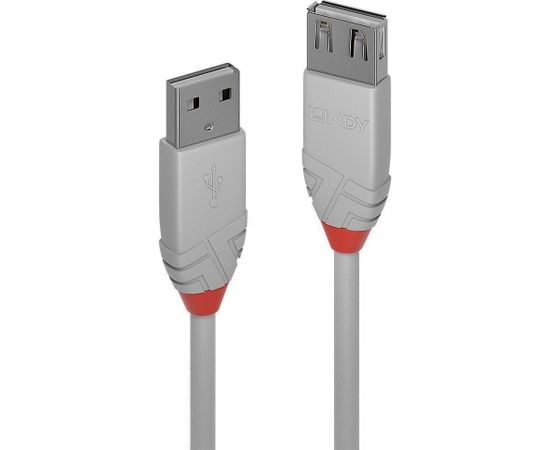 CABLE USB2 TYPE A 0.2M/ANTHRA 36710 LINDY