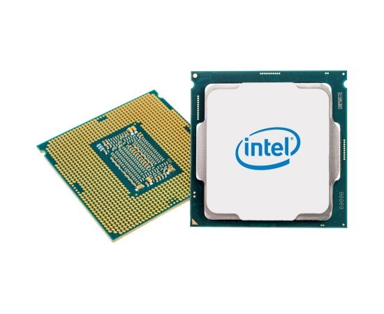 Intel Xeon E-2234 processor 3.6 GHz 8 MB Smart Cache