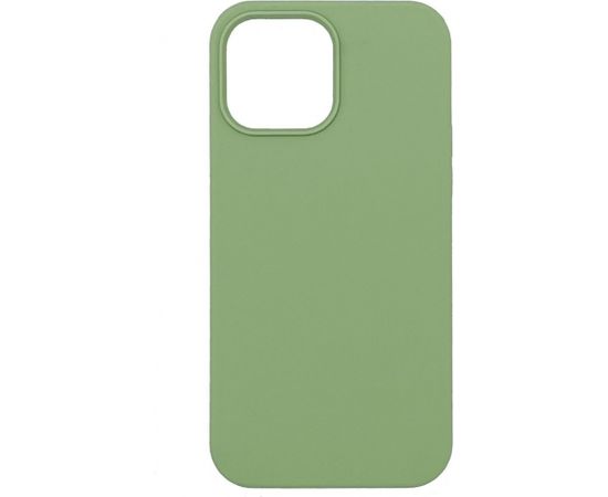 Evelatus  
       Apple  
       iPhone 12 Pro Max Liquid Silicone Case 
     Mint