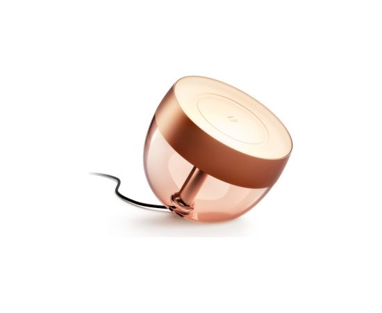 Philips Hue Iris Portable lamp, Copper special edition