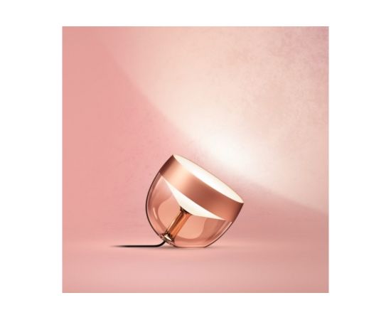 Philips Hue Iris Portable lamp, Copper special edition