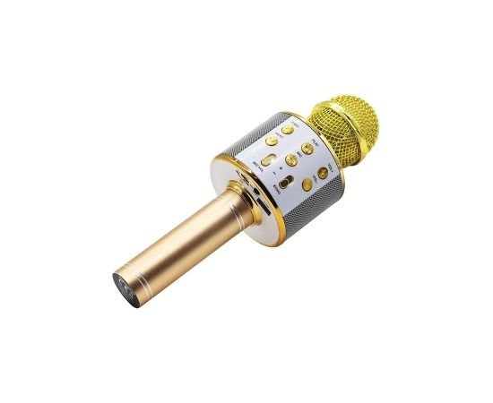 Manta MIC10-G gold