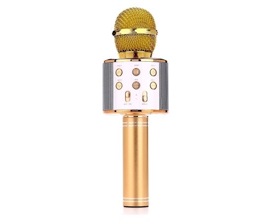 Manta MIC10-G gold