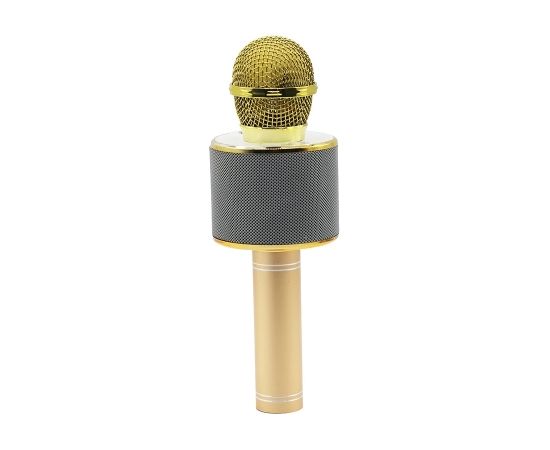 Manta MIC10-G gold