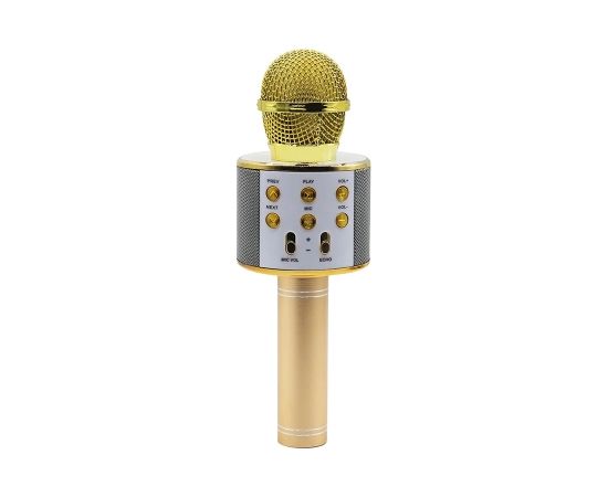 Manta MIC10-G gold