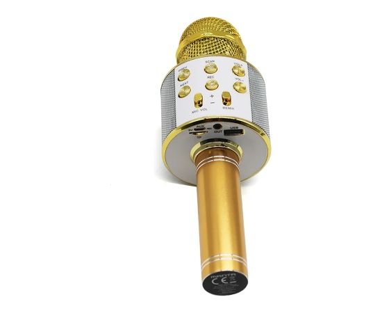 Manta MIC10-G gold