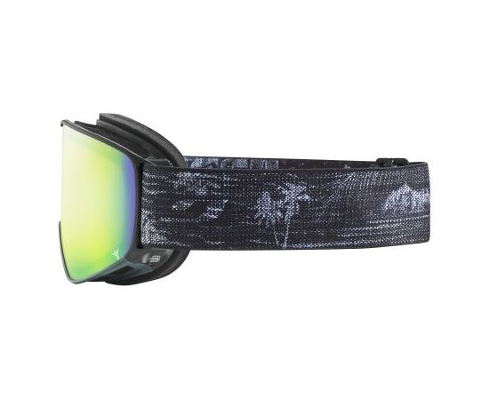 Julbo Cyrius Reactiv 2-3 / Melna / Zaļa