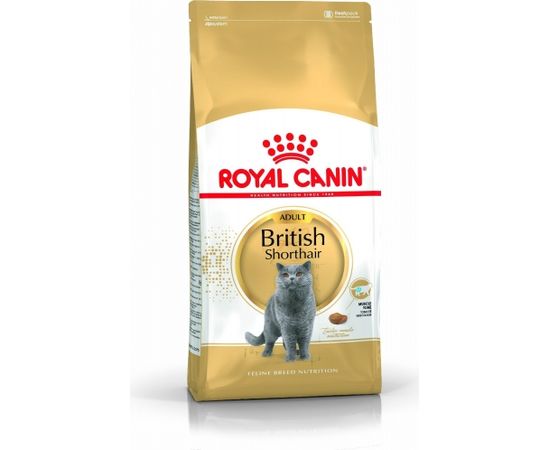 Royal Canin British Shorthair karma sucha dla kotów dorosłych rasy brytyjski krótkowłosy 2kg