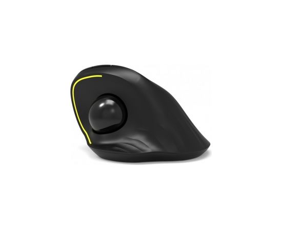 Port Designs 900719 mouse Right-hand RF Wireless + Bluetooth Optical 1600 DPI