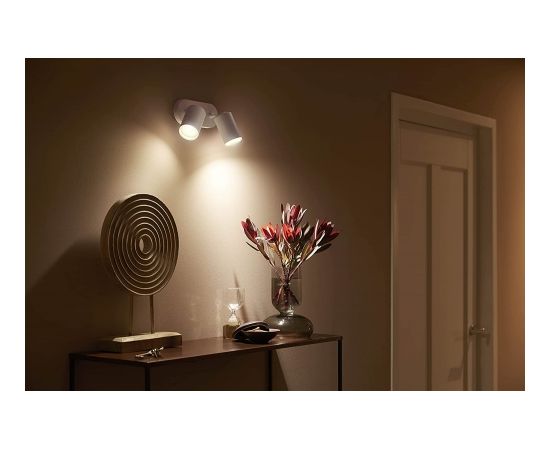 Philips Hue White & Color Ambiance Fugato 2 spot, LED light (white)