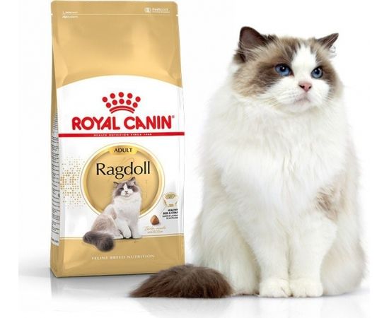 Royal Canin Ragdol Adult karma sucha dla kotów dorosłych rasy ragdoll 0.4 kg