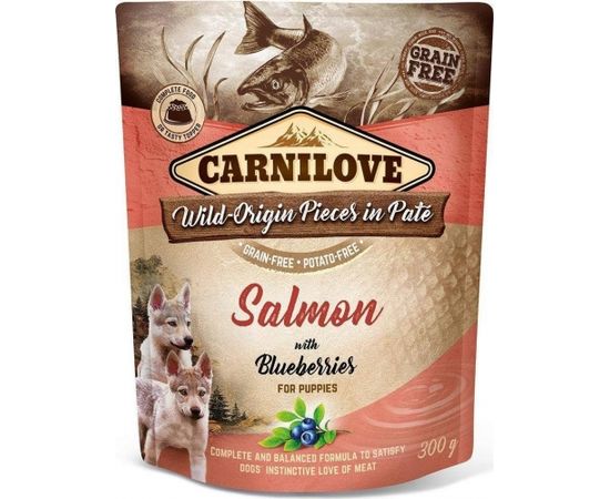 Carnilove PIES saszetka SALMON& BLUEBERRIES PUPPIE / 12 300g