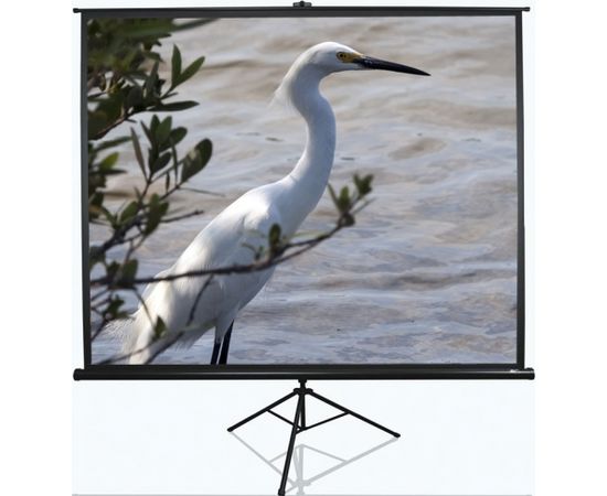 Elite Screens Tripod Series T120NWV1 Diagonal 120 ", 4:3, Viewable screen width (W) 244 cm, White