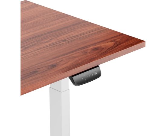 Height Adjustable Table Up Up Thor White, Table top L Dark walnut