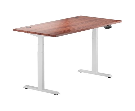 Height Adjustable Table Up Up Thor White, Table top L Dark walnut