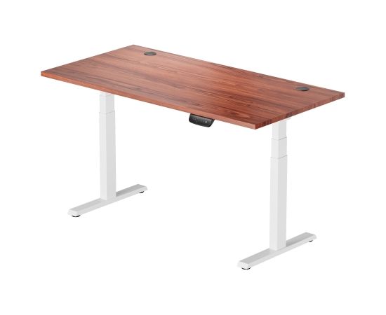 Height Adjustable Table Up Up Thor White, Table top L Dark walnut