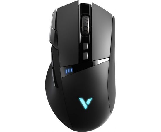 Rapoo VPRO Gaming VT350 wired/Wireless black, USB