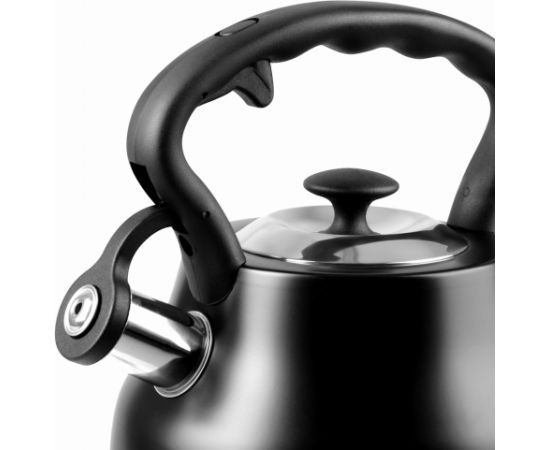 PROMIS Kettle 3.0 L, ANDREA, matt black, black handle