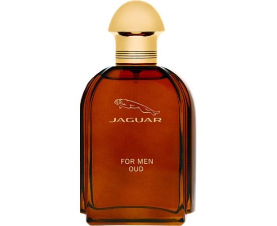 Jaguar For Men Oud EDP 100 ml