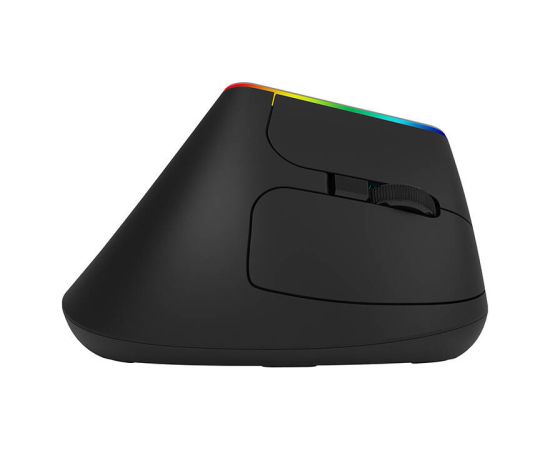 Wireless Vertical Mouse Delux M618C 2.4G 1600DPI RGB (black)