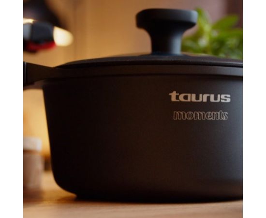 Casserole 20cm Taurus Great Moments KCK3020