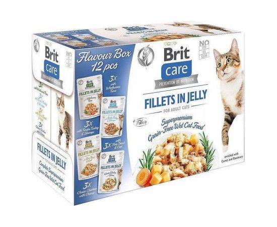 BRIT Care Fillets in Jelly Flavour Box- wet cat food - 12 x 85g