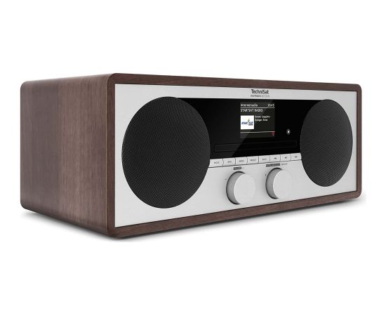 TechniSat DIGITRADIO 451 CD IR brown