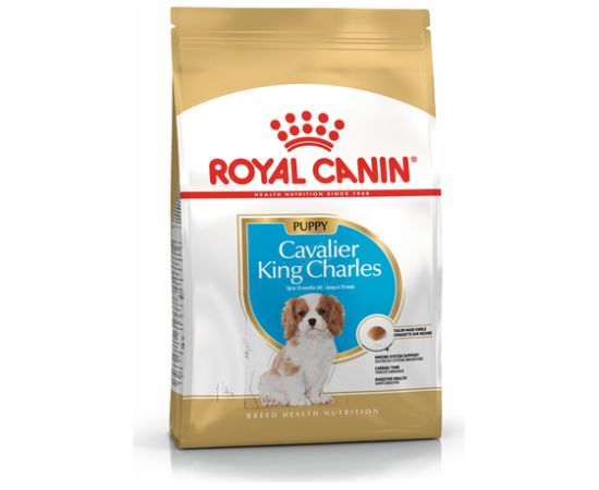 Royal Canin BHN Cavalier King Charles Spaniel Puppy - dry puppy food - 1.5kg